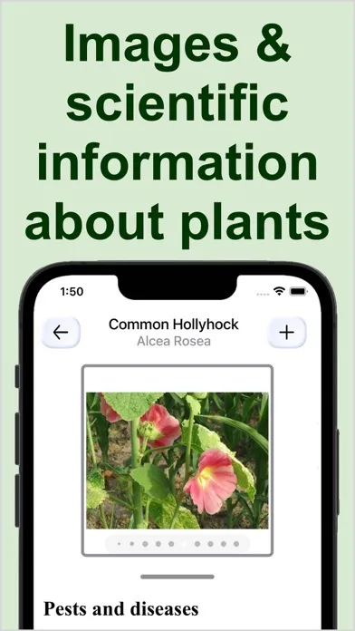 صور Forest Plant Identification