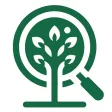 Forest Tree Identification Forest Tree Identification
