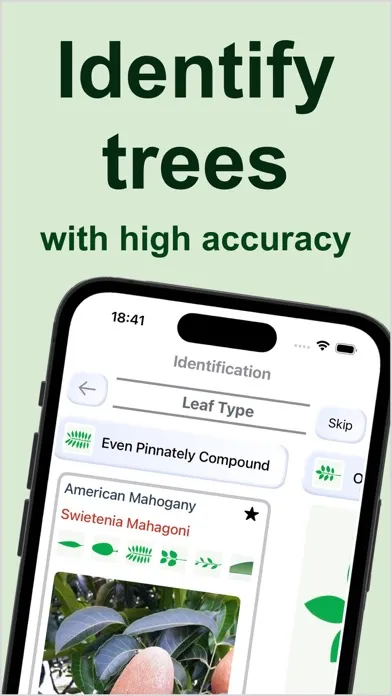 Capturas de tela do Forest Tree Identification