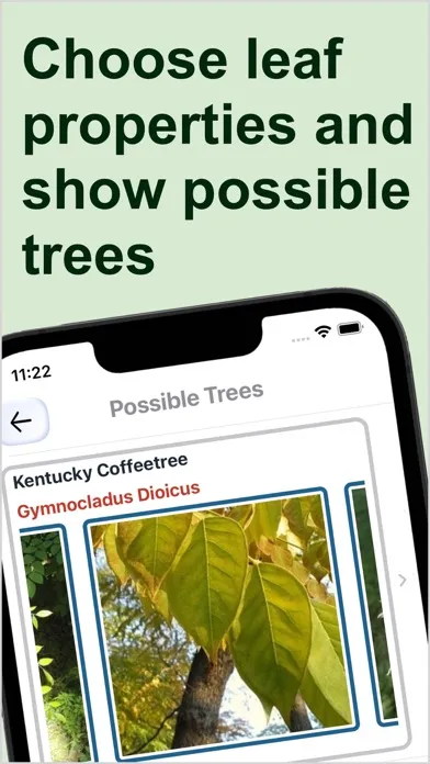 Capturas de tela do Forest Tree Identification