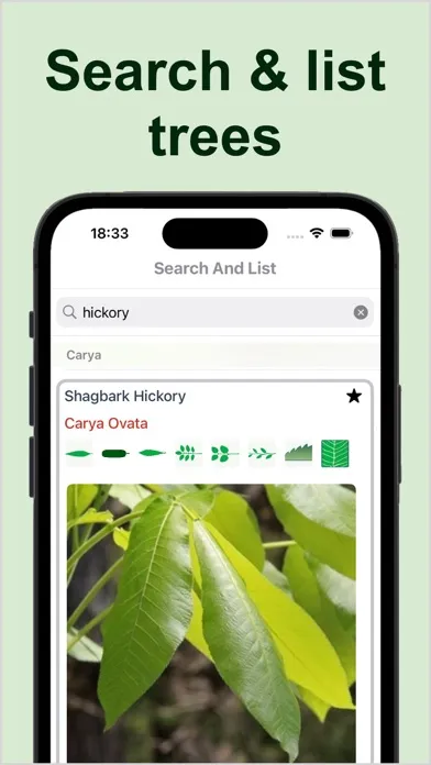 Capturas de tela do Forest Tree Identification