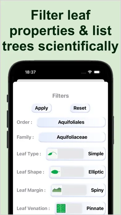 Capturas de tela do Forest Tree Identification
