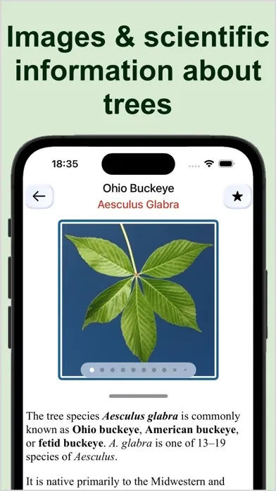 Capturas de tela do Forest Tree Identification