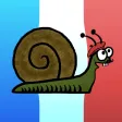 Les Conjugaisons Françaises: The Basics Les Conjugaisons Françaises: The Basics