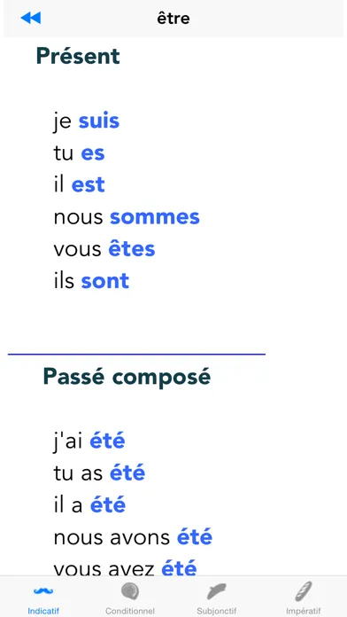 Les Conjugaisons Françaises: The Basics应用截图