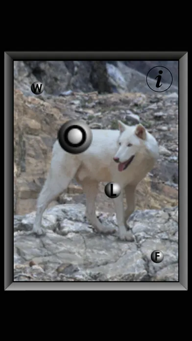 Spel Bound应用截图