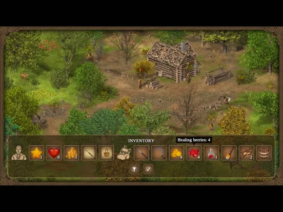 Tangkapan skrin Hero of the Kingdom: Tales 1 iPad 