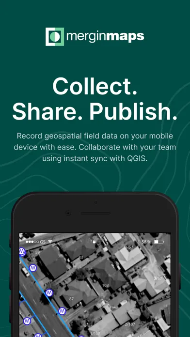 Mergin Maps: QGIS in pocket應用截圖