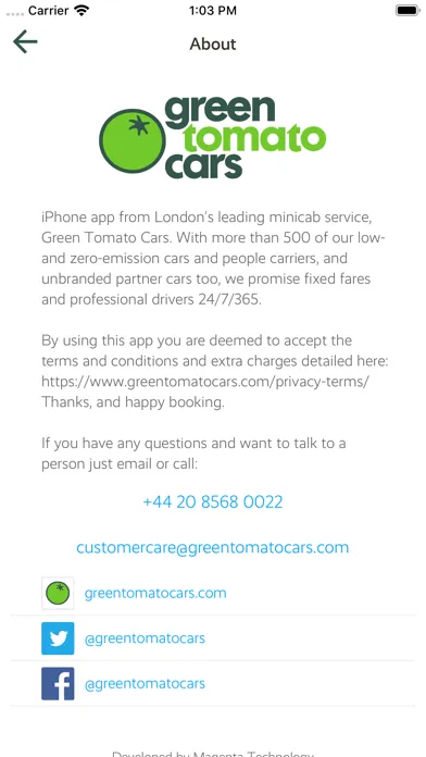Capturas de pantalla de Green Tomato Cars
