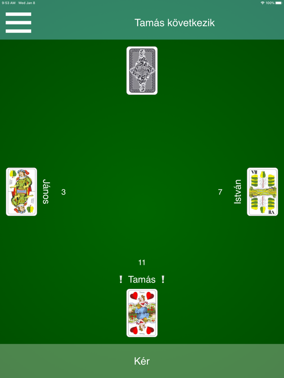 Hungarian Card Games iPad  스크린샷