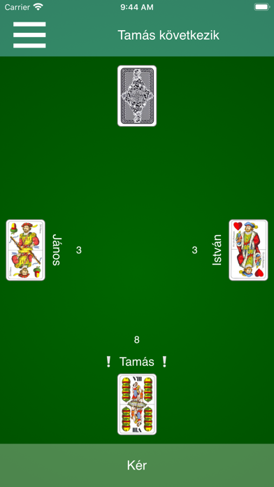 Hungarian Card Games 스크린샷