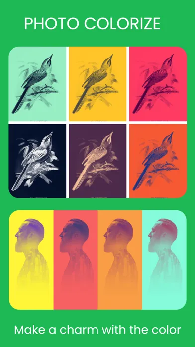 Photo Colorize スクリーンショット