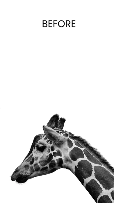 Photo Colorize スクリーンショット