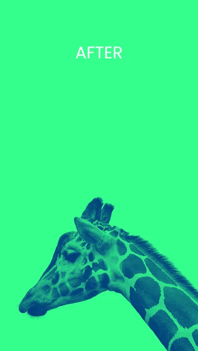 Photo Colorize スクリーンショット