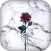 Marble Wallpaper