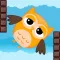 Fly Owl