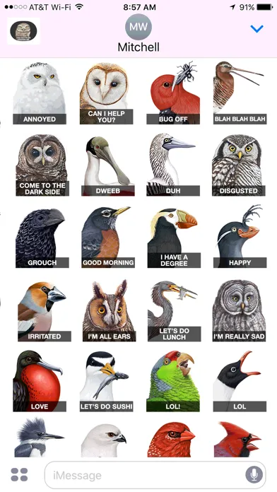 صور iBird Stickers