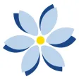 Musketier Blumen GmbH Musketier Blumen GmbH
