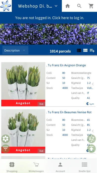 Capturas de tela do Musketier Blumen GmbH