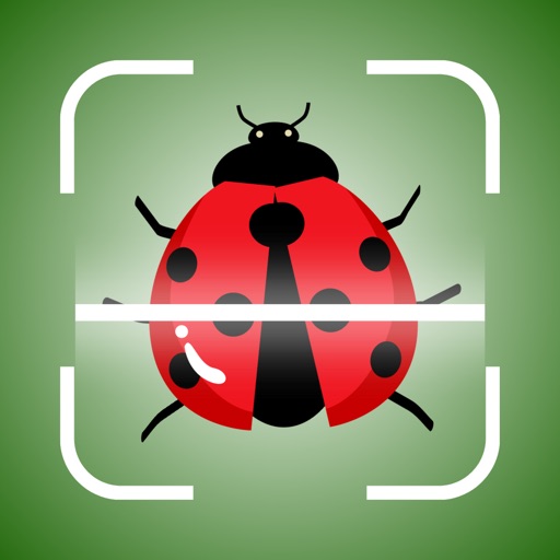 Insect Identifier Bug Scan Fox