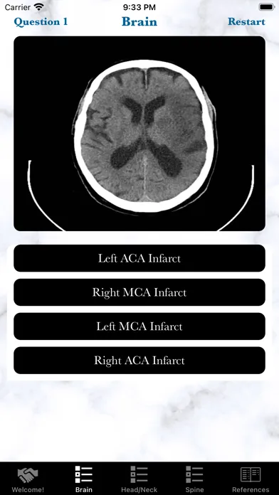 Tangkapan skrin Neuro Rad Quiz