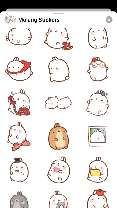 New Molang Stickers HD Screenshots