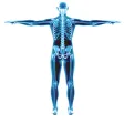 OrthoGP