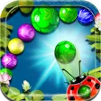 Ladybug Ball