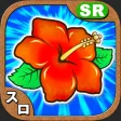 slot ぱちすろ&はいびすかす 新台Aタイプすろっと