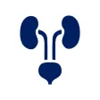 Practical Urology