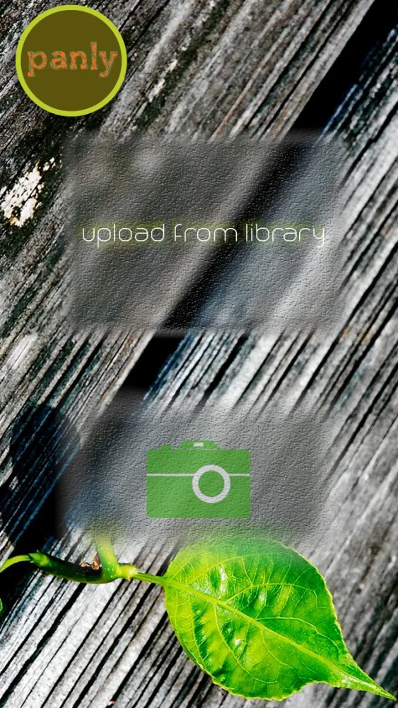 Panly | Pano to Video স্ক্রিনশট