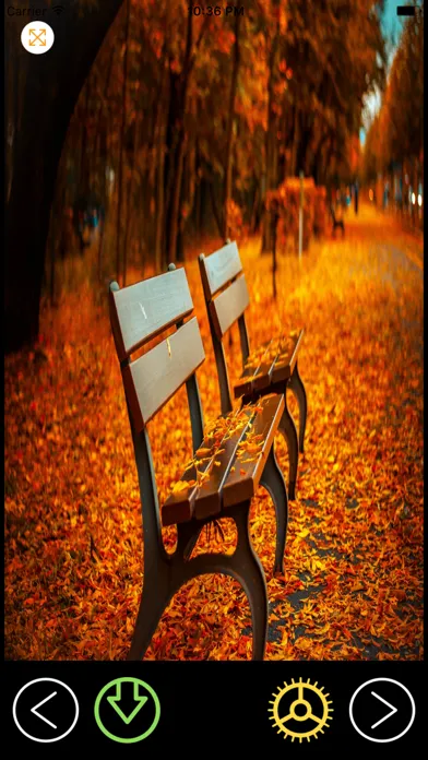 Скриншоты HD Wallpapers - Backgrounds