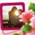 Rose Flower Photo Frame - Amazing Picture Frames & Photo Editor