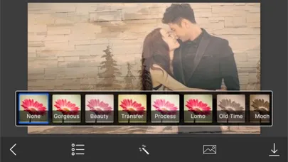 Snow Effect Photo Frame - Amazing Picture Frames & Photo Editor 스크린샷