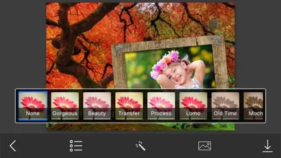 Autumn Photo Frames - Creative Frames for your photo Screenshots