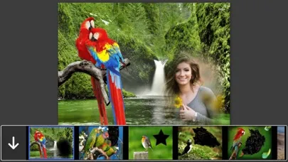 Screenshot di Bird Photo Frames - Creative Frames for your photo