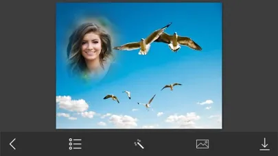 Screenshot di Bird Photo Frames - Creative Frames for your photo