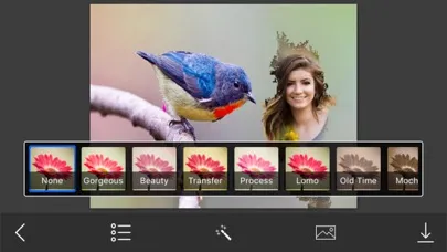 Screenshot di Bird Photo Frames - Creative Frames for your photo