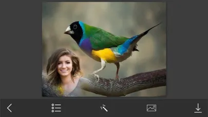 Screenshot di Bird Photo Frames - Creative Frames for your photo