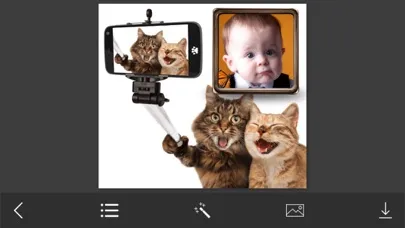 Скриншоты Funny Photo Frames - Decorate your moments with elegant photo frames