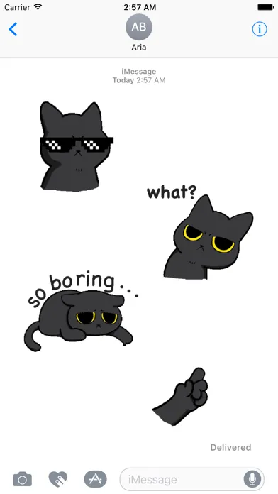 Animated Grumpy Black Cat應用截圖