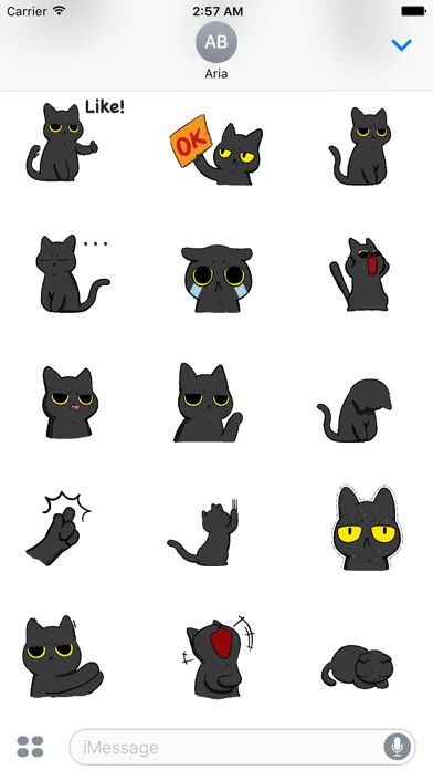 Animated Grumpy Black Cat應用截圖