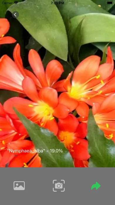ภาพหน้าจอของ PlantX