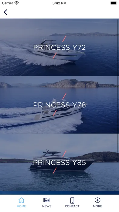 Ảnh chụp màn hình của Princess Yachts France