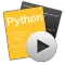 Python Runner