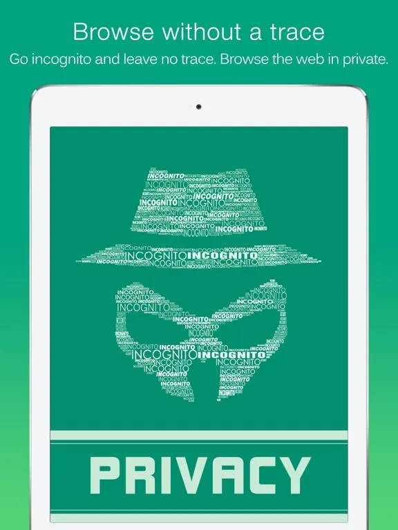 صور Dolphin for MobileNow HD - Best Ad-Block Extension iPad 