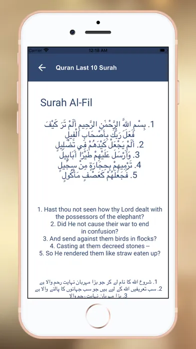 Ramdan Pro: Qibla, Quran, Dua स्क्रीनशॉट