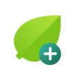 Plant Tissue Plus Plant Tissue Plus