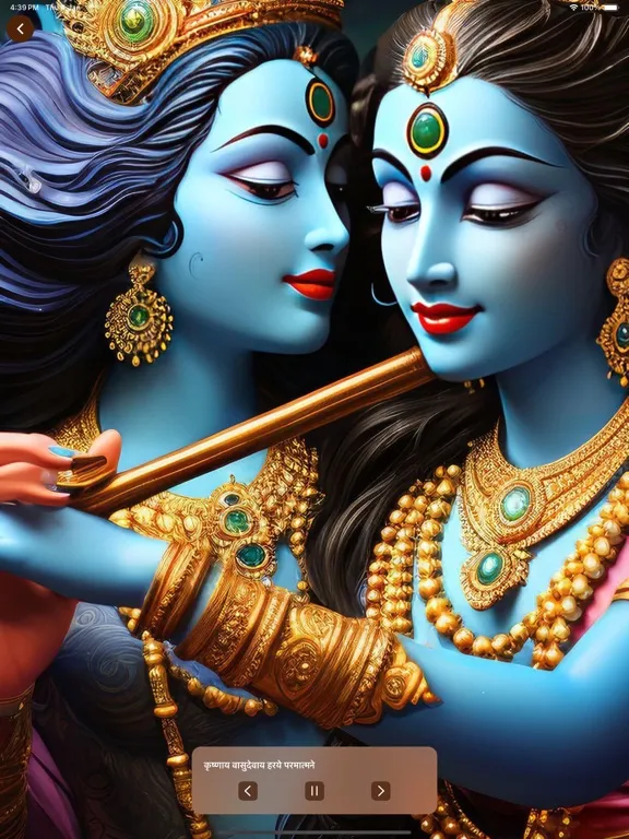 Captures d'écran de Shrimad BhagavadGita Hindi iPad 