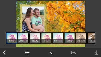 Tangkapan layar Autumn Photo Frame - Great and Fantastic Frames for your photo